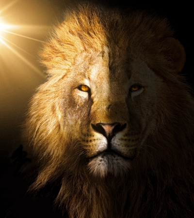 Courage and Determination