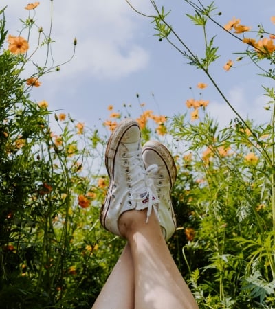 Hayfever Causes Triggers & Natural Solutions