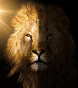 Embrace the shadow on Your Path to Purpose