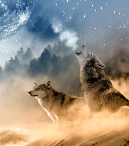 Two Wolves Cherokee Teaching - The Tale of the Two Wolves