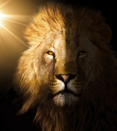 Courage and Determination