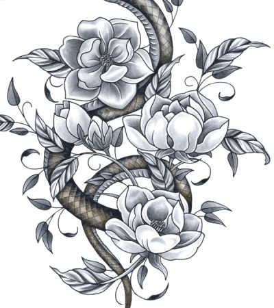 Magnolia from DIVINITY by Kerrie De Palma